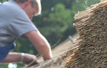 professional Pontrhydfendigaid thatchers