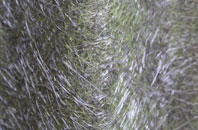 Pontrhydfendigaid fibreglass roof work