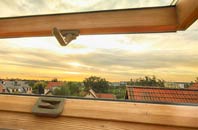 rated Pontrhydfendigaid roof window companies